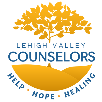 Counseling Solutions LV, Drug & Alcohol Counselor, Allentown, PA, 18104